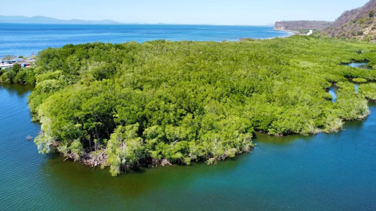 Zonas de APP en Florianópolis: restinga, manglar y lo que se puede regularizar