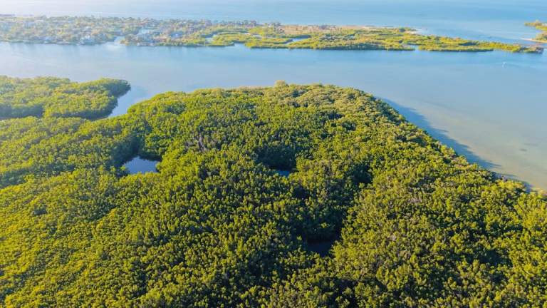 Terrenos de la Marina en Florianópolis: qué son y cómo regularizarlos