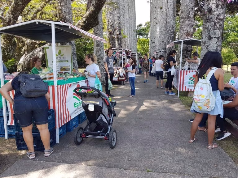 Eventos y Agenda en Itacorubi, Florianópolis: Qué Sucede en el Barrio