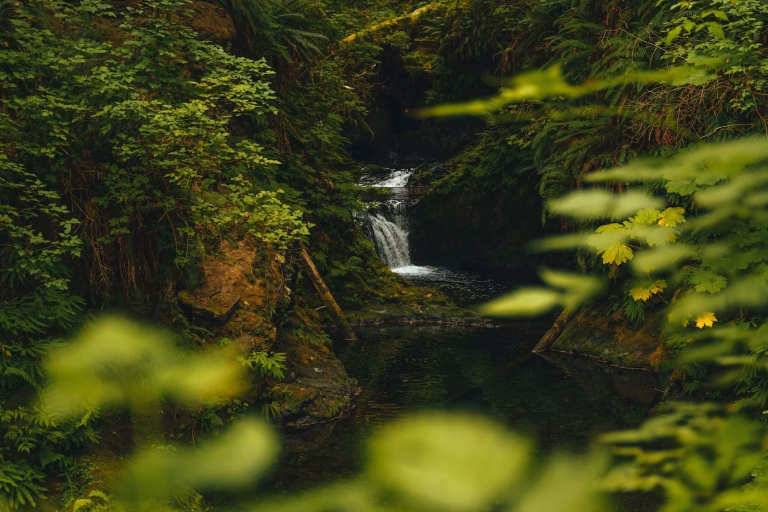 ¿Cuáles son las cascadas en Florianópolis? Guía con acceso, sendero y distancia