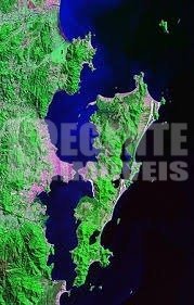 Terreno no Córrego Grande em Florianópolis - Foto 8