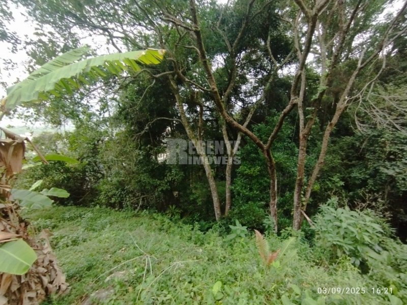Terreno no Trindade em Florianópolis - Foto 11