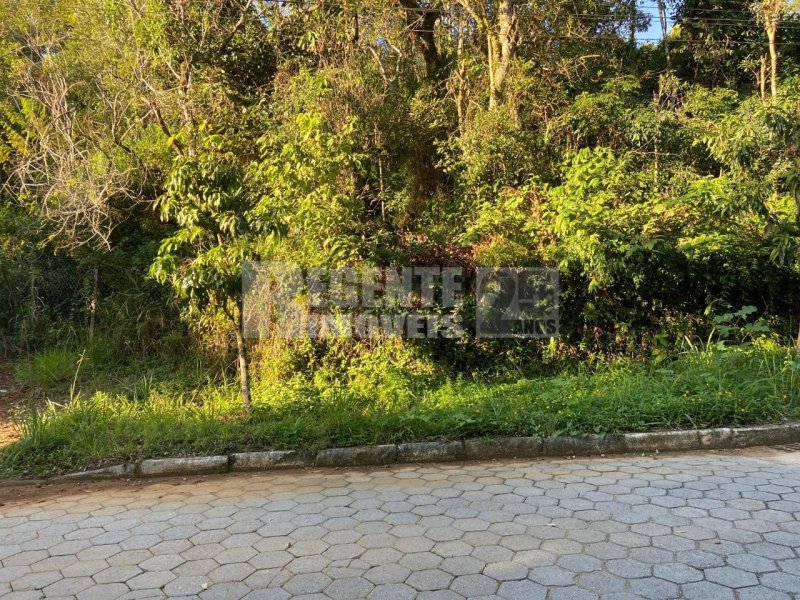 Studio no Pantanal em Florianópolis - Foto 3
