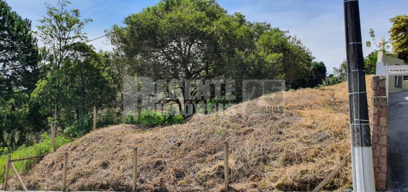 Terreno no João Paulo em Florianópolis - Foto 3