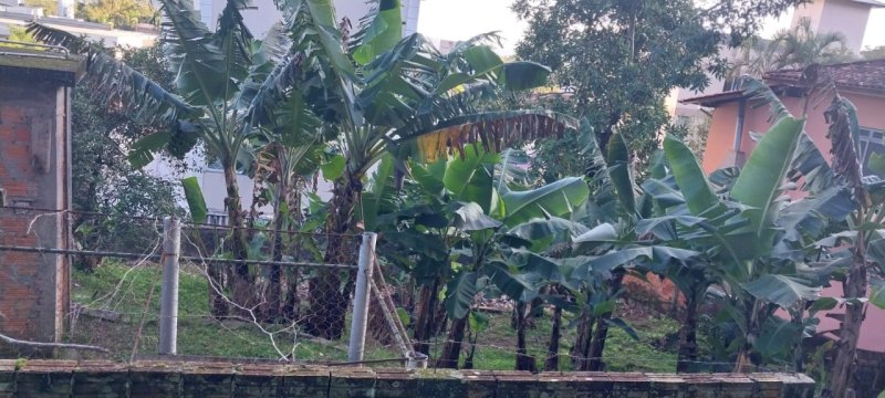 Terreno no Saco Grande em Florianópolis - Foto 2