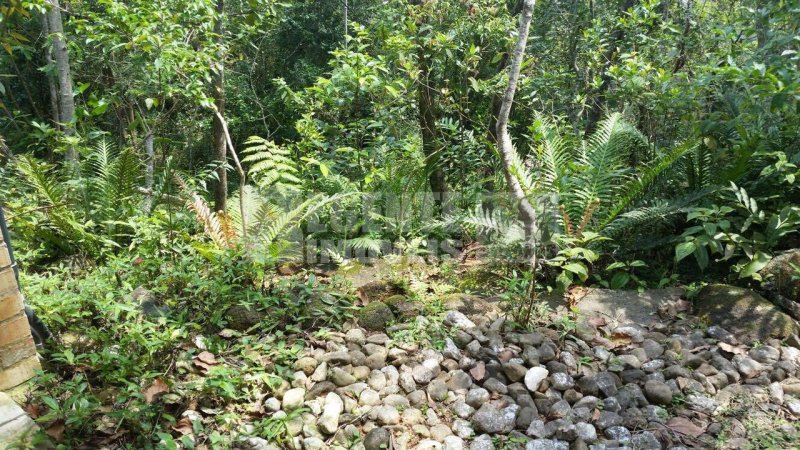Terreno 2 quartos no Sambaqui em Florianópolis - Foto 32