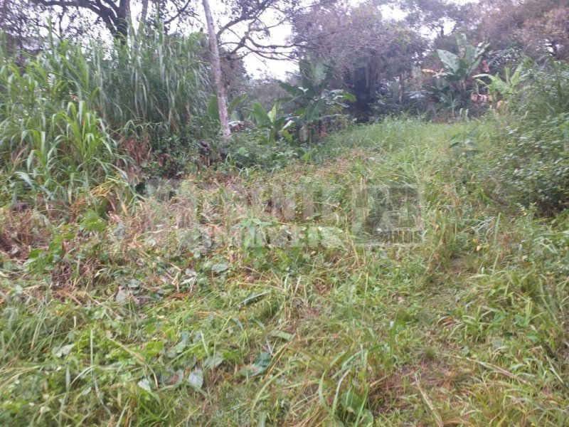 Terreno no Pantanal em Florianópolis - Foto 5