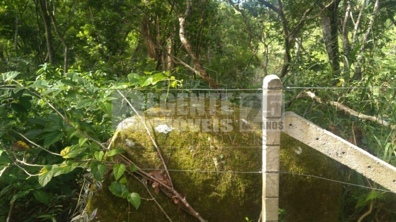 Terreno no Jurerê em Florianópolis - Foto 4