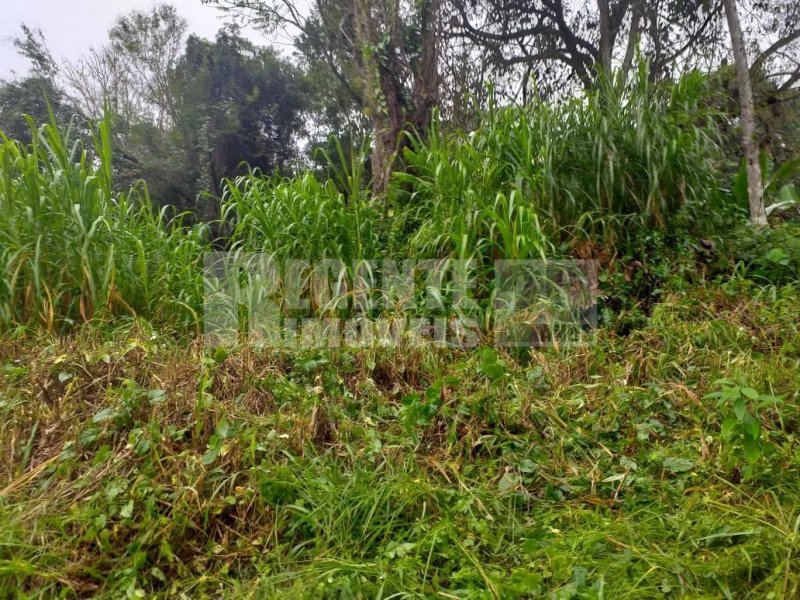 Terreno no Pantanal em Florianópolis - Foto 6