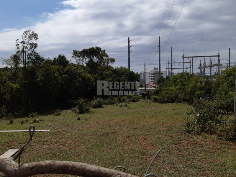 Terreno no Pagani em Palhoça - Foto 4