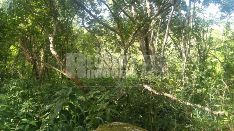 Terreno no Jurerê em Florianópolis - Foto 2