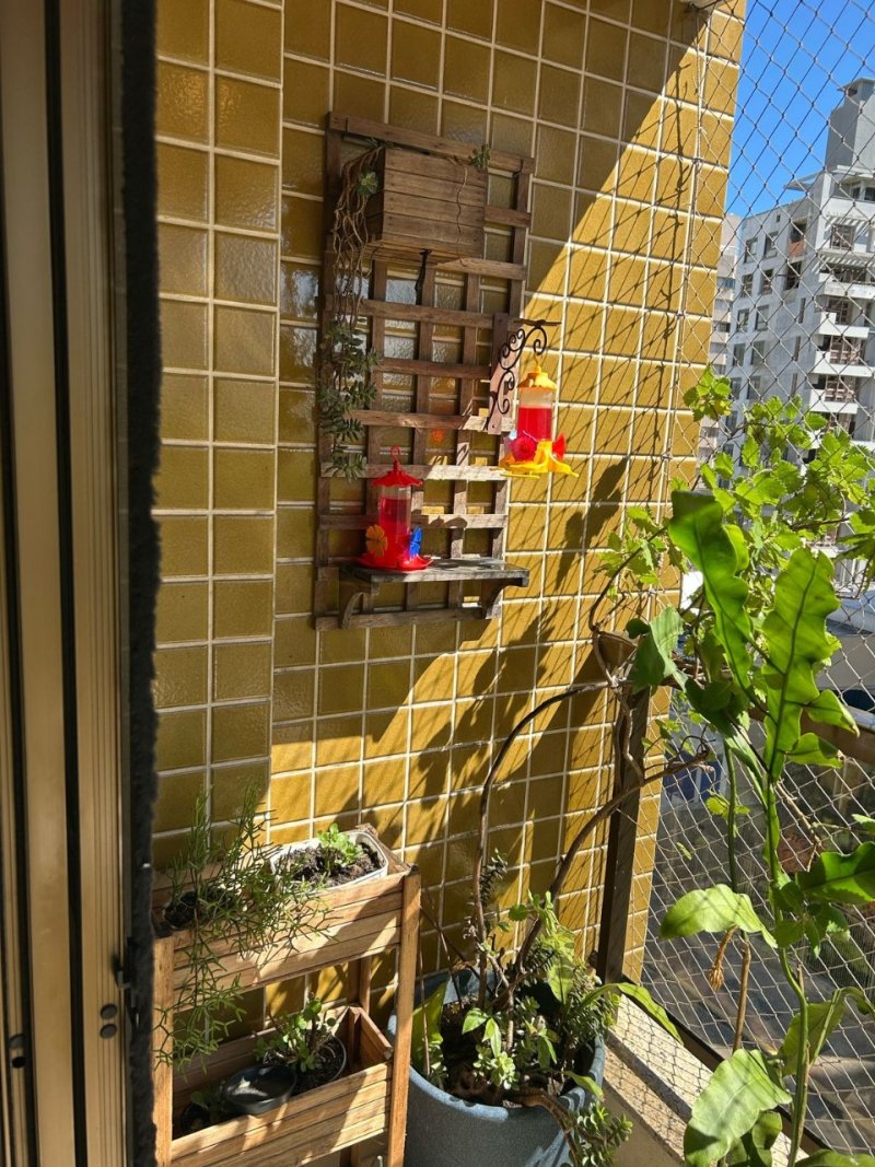 Apartamento 3 quartos no Centro em Florianópolis - Foto 4