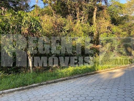Studio no Pantanal em Florianópolis - Foto 6