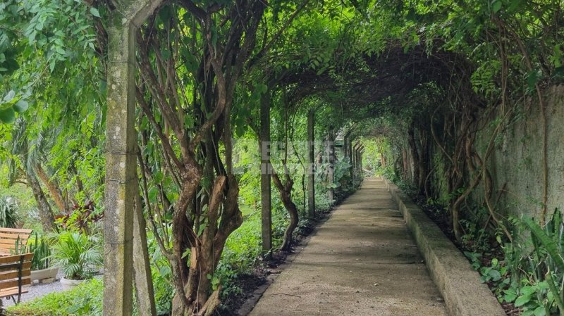 Cobertura 3 quartos no Agronômica em Florianópolis - Foto 40