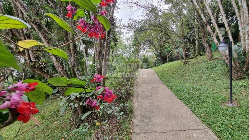 Cobertura 3 quartos no Agronômica em Florianópolis - Foto 42