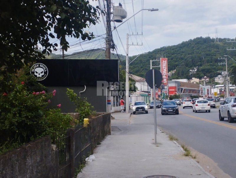 Terreno no Córrego Grande em Florianópolis - Foto 3