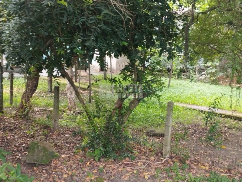 Terreno no Córrego Grande em Florianópolis - Foto 4