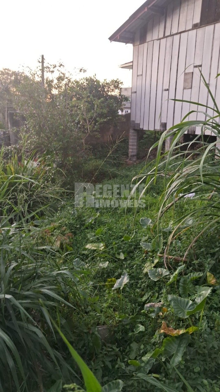 Casa no Córrego Grande em Florianópolis - Foto 6