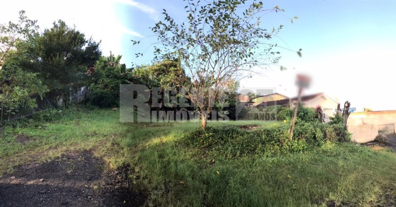 Terreno no João Paulo em Florianópolis - Foto 2