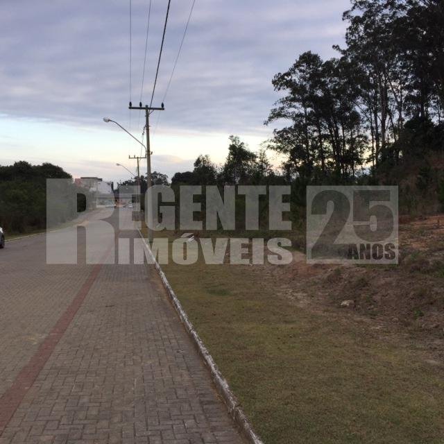 Terreno no Saco Grande em Florianópolis - Foto 5