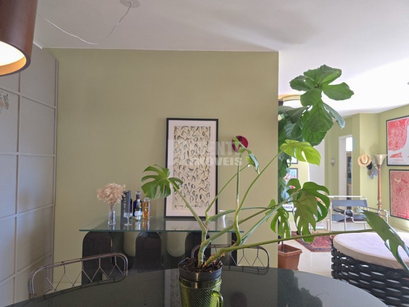 Apartamento 5 quartos no Centro em Florianópolis - Foto 10