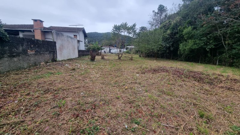 Terreno no Campeche em Florianópolis - Foto 3
