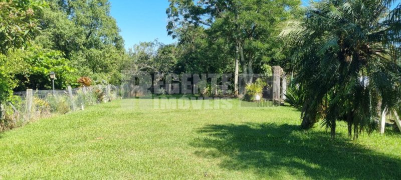 Casa 4 quartos no João Paulo em Florianópolis - Foto 5