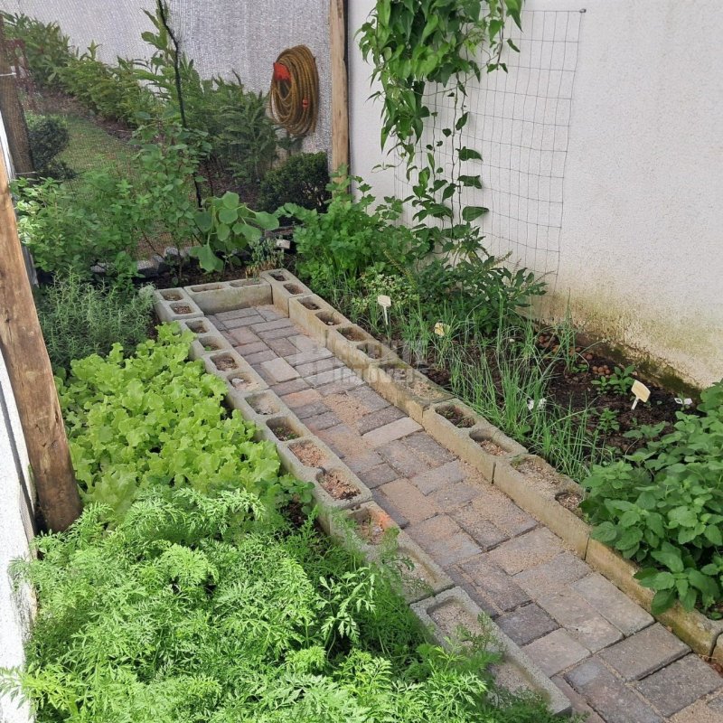 Apartamento 2 quartos no Agronômica em Florianópolis - Foto 36