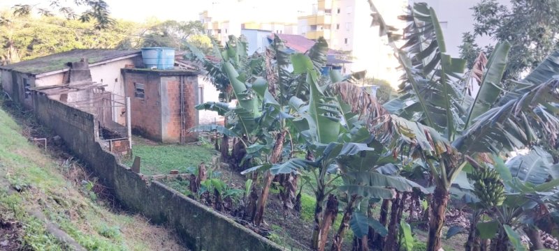 Terreno no Saco Grande em Florianópolis - Foto 3