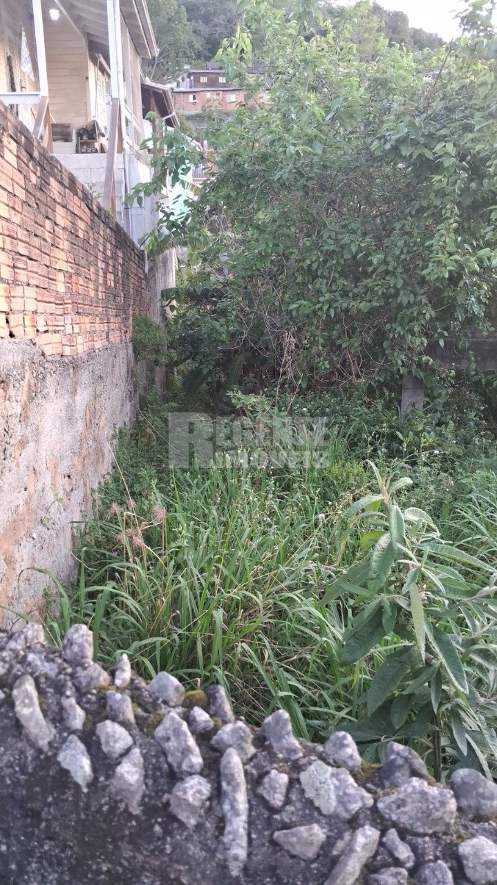 Casa no Córrego Grande em Florianópolis - Foto 14