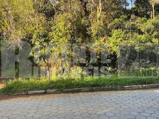 Studio no Pantanal em Florianópolis - Foto 4