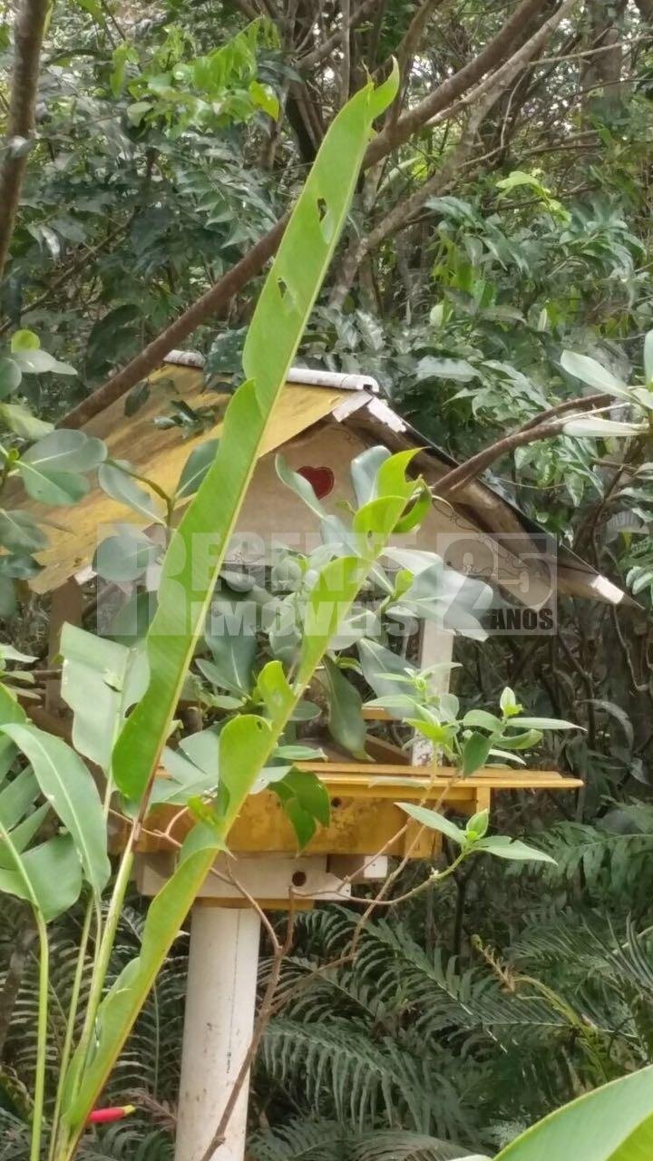 Terreno 2 quartos no Sambaqui em Florianópolis - Foto 35