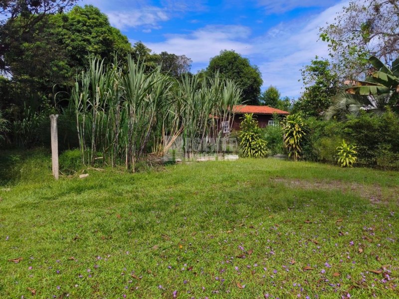 Sitio no Ratones em Florianópolis - Foto 29