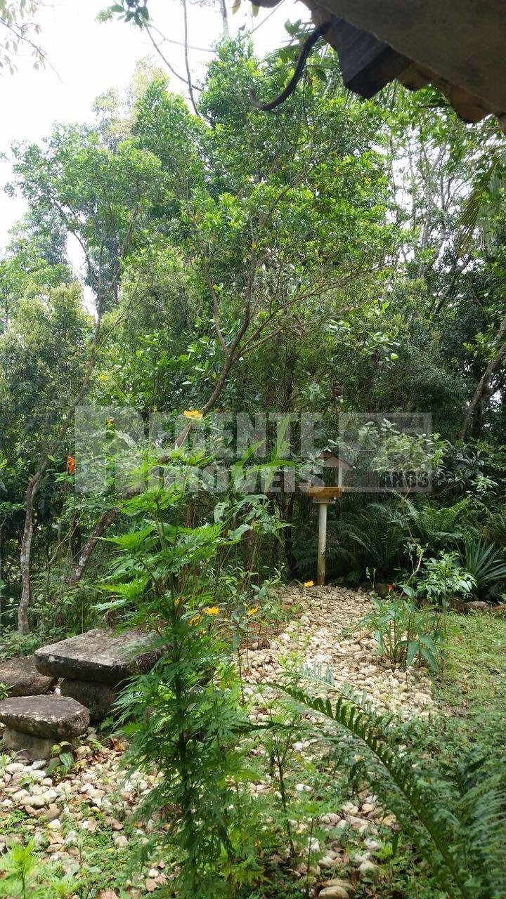 Terreno 2 quartos no Sambaqui em Florianópolis - Foto 31
