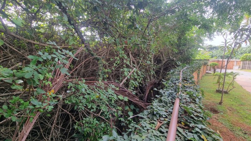 Loja 11 quartos no Canasvieiras em Florianópolis - Foto 40