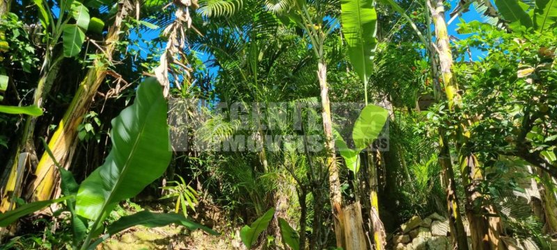 Casa 6 quartos no Córrego Grande em Florianópolis - Foto 20