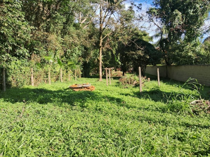 Terreno no Ratones em Florianópolis - Foto 6