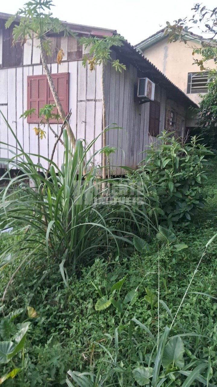 Casa no Córrego Grande em Florianópolis - Foto 20