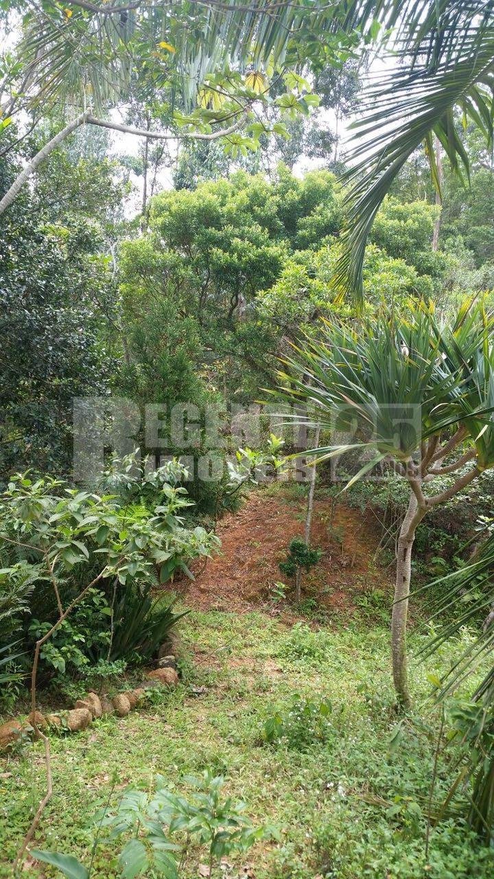 Terreno 2 quartos no Sambaqui em Florianópolis - Foto 34