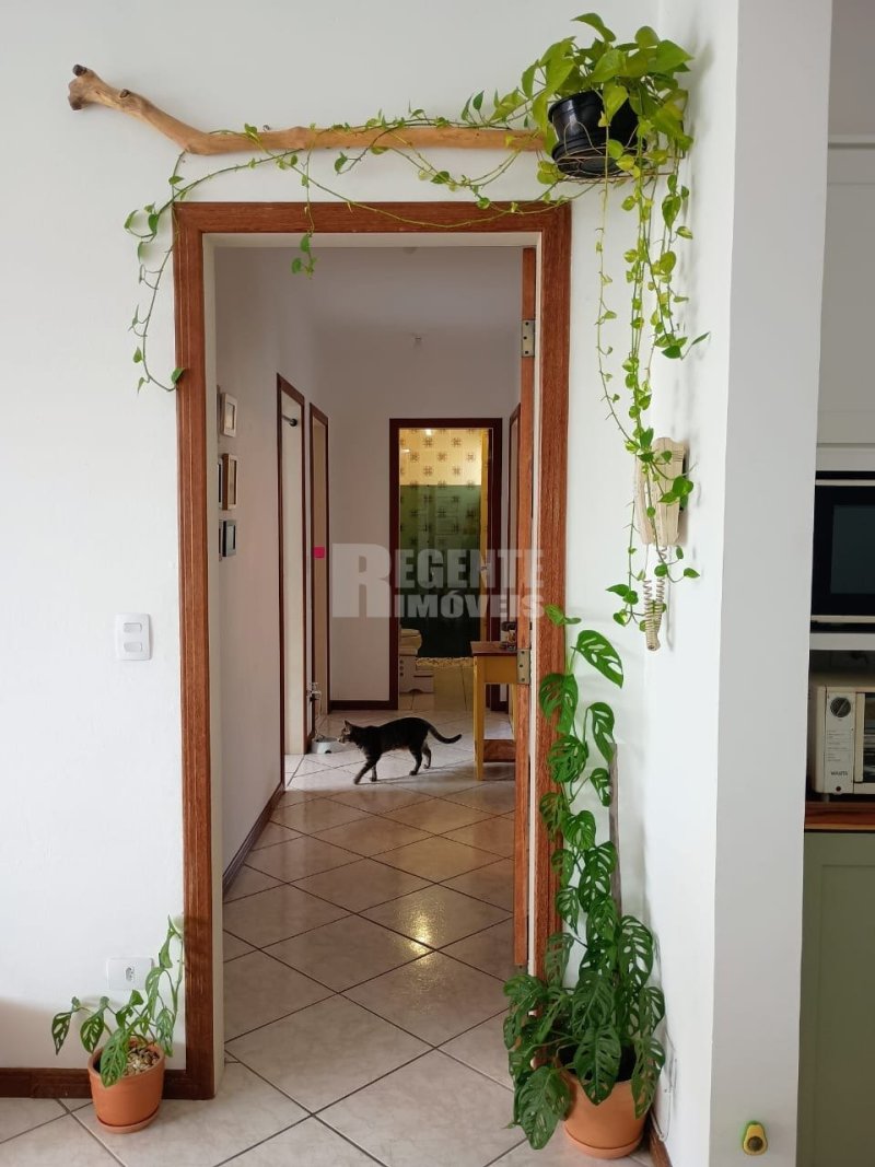 Apartamento 4 quartos no Trindade em Florianópolis - Foto 4
