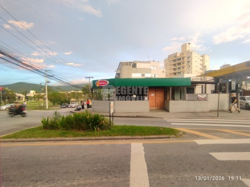 Casa 3 quartos no Trindade em Florianópolis - Foto 11