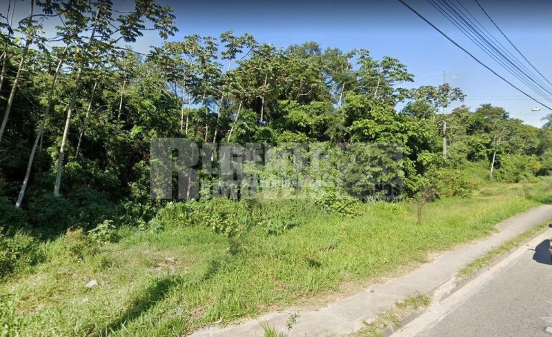 Terreno no Passa Vinte em Palhoça - Foto 2