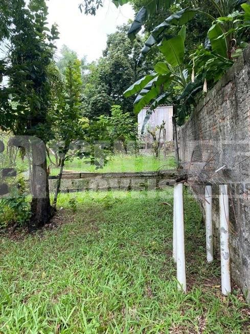 Terreno no Trindade em Florianópolis - Foto 4