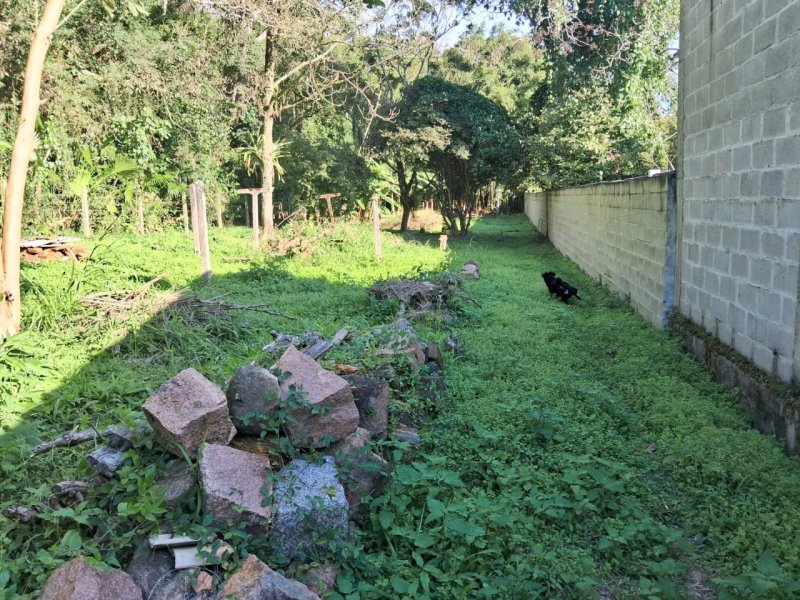 Terreno no Ratones em Florianópolis - Foto 7
