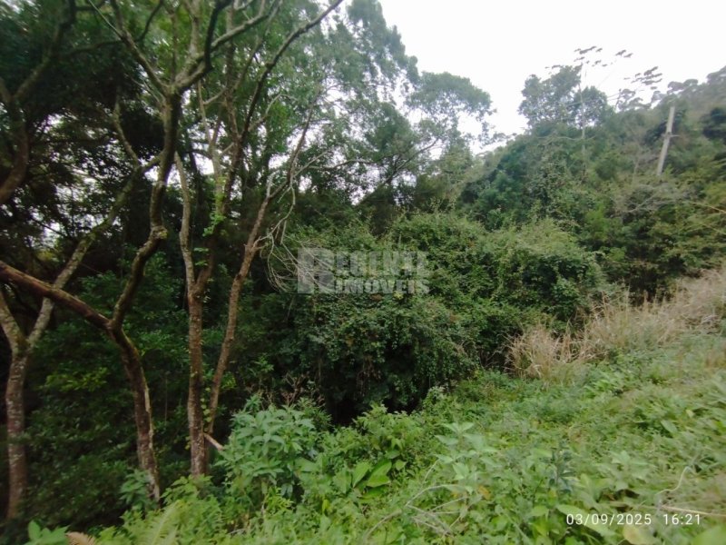 Terreno no Trindade em Florianópolis - Foto 10