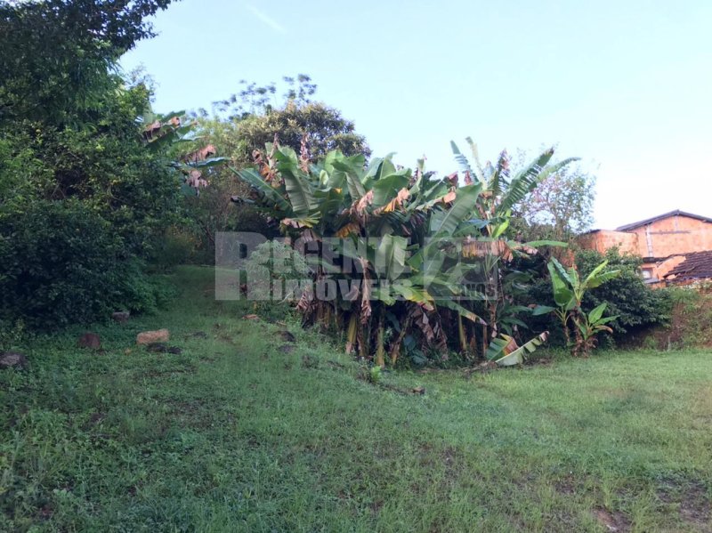Terreno no João Paulo em Florianópolis - Foto 2