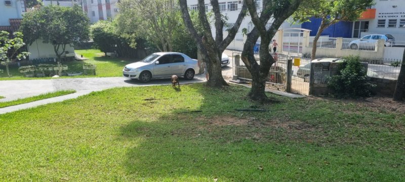 Terreno no Trindade em Florianópolis - Foto 6