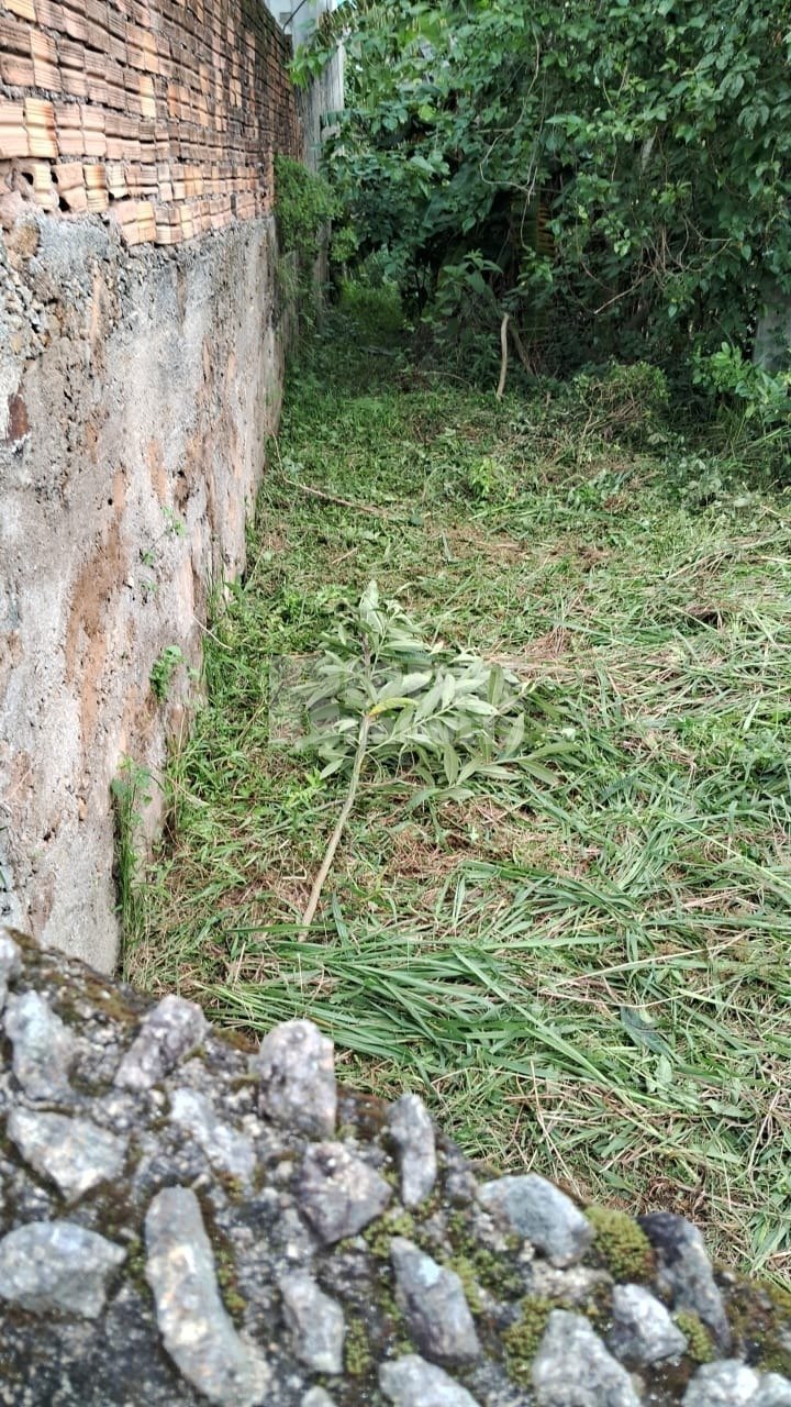 Casa no Córrego Grande em Florianópolis - Foto 12