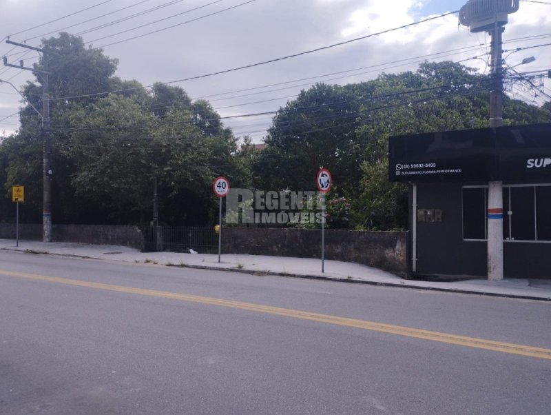 Terreno no Córrego Grande em Florianópolis - Foto 13