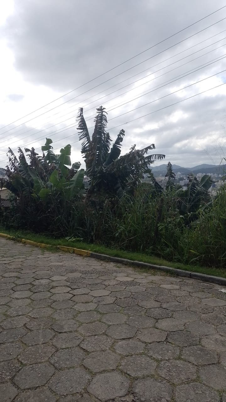 Terreno no Pantanal em Florianópolis - Foto 2